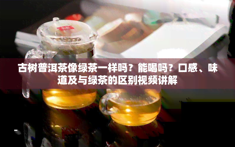 古树普洱茶像绿茶一样吗？能喝吗？口感、味道及与绿茶的区别视频讲解