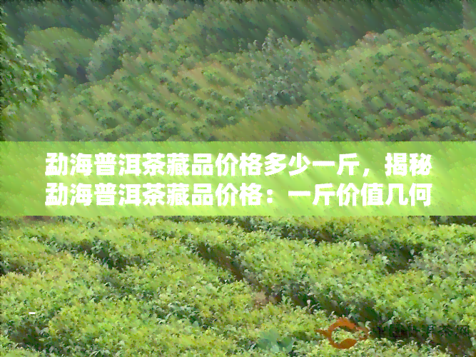 勐海普洱茶藏品价格多少一斤，揭秘勐海普洱茶藏品价格：一斤价值几何？