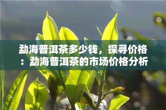 勐海普洱茶多少钱，探寻价格：勐海普洱茶的市场价格分析