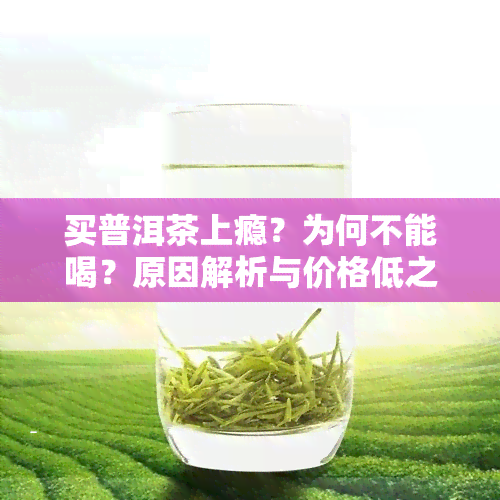 买普洱茶上瘾？为何不能喝？原因解析与价格低之谜