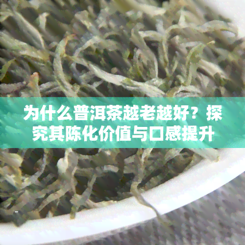 为什么普洱茶越老越好？探究其陈化价值与口感提升的秘密