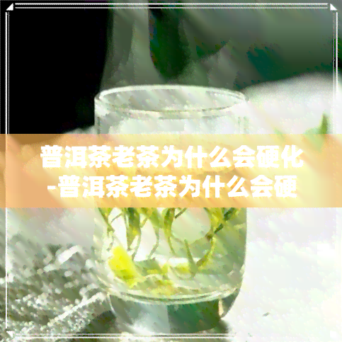 普洱茶老茶为什么会硬化-普洱茶老茶为什么会硬化呢