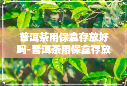 普洱茶用保盒存放好吗-普洱茶用保盒存放好吗能放多久