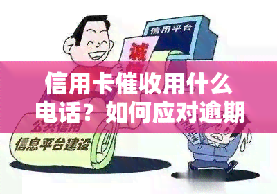 信用卡用什么电话？如何应对逾期电话？2021年信用卡工作如何？欠款人员是谁？