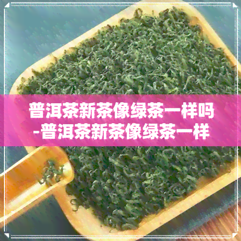 普洱茶新茶像绿茶一样吗-普洱茶新茶像绿茶一样吗为什么