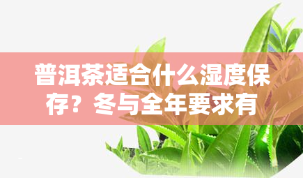 普洱茶适合什么湿度保存？冬与全年要求有何不同？