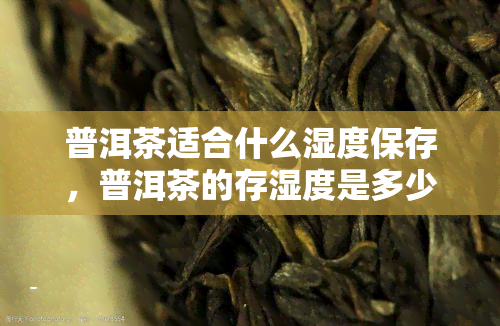 普洱茶适合什么湿度保存，普洱茶的存湿度是多少？