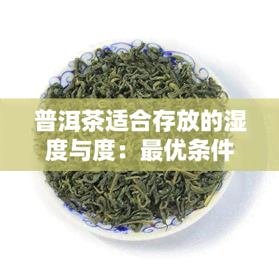 普洱茶适合存放的湿度与度：更优条件解析