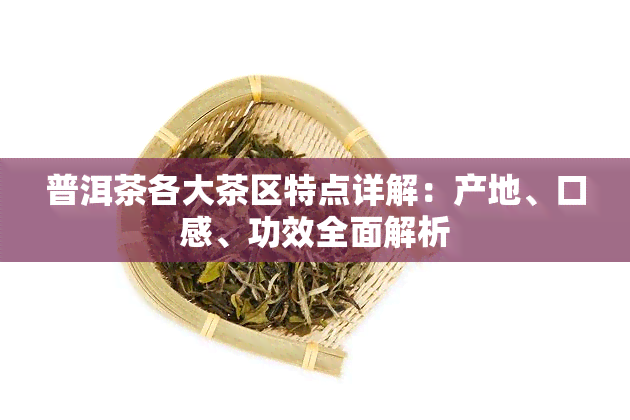 普洱茶各大茶区特点详解：产地、口感、功效全面解析