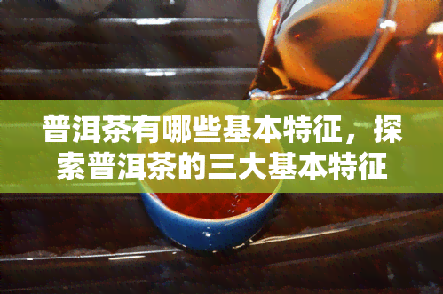 普洱茶有哪些基本特征，探索普洱茶的三大基本特征