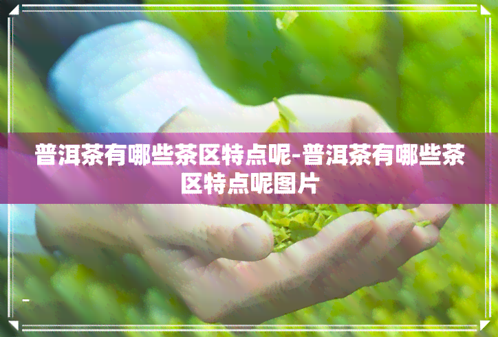 普洱茶有哪些茶区特点呢-普洱茶有哪些茶区特点呢图片