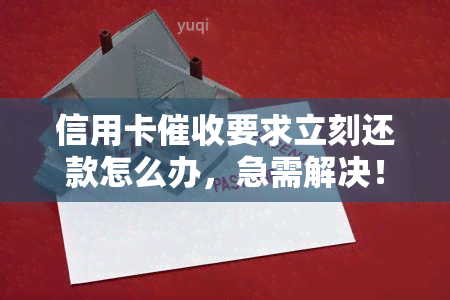 信用卡要求立刻还款怎么办，急需解决！信用卡要求立即还款，你该怎么做？