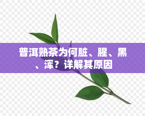 普洱熟茶为何脏、腥、黑、浑？详解其原因