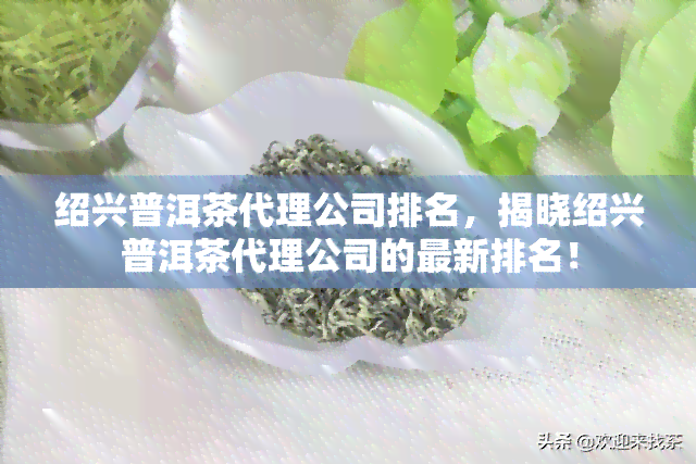 绍兴普洱茶代理公司排名，揭晓绍兴普洱茶代理公司的最新排名！