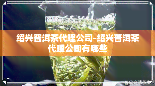 绍兴普洱茶代理公司-绍兴普洱茶代理公司有哪些