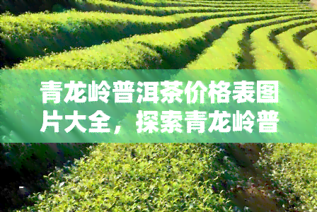 青龙岭普洱茶价格表图片大全，探索青龙岭普洱茶的魅力：价格表与精美图片大揭秘！