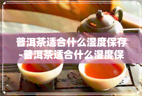 普洱茶适合什么湿度保存-普洱茶适合什么湿度保存呢