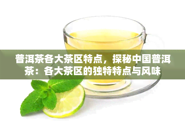 普洱茶各大茶区特点，探秘中国普洱茶：各大茶区的独特特点与风味