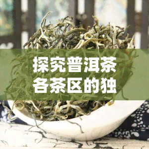 探究普洱茶各茶区的独特口感与特点