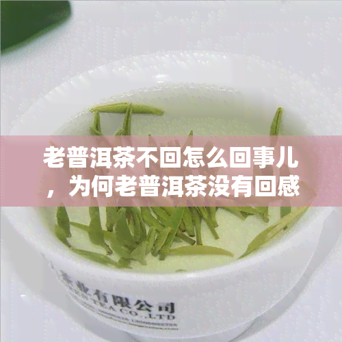 老普洱茶不回怎么回事儿，为何老普洱茶没有回感？解析原因