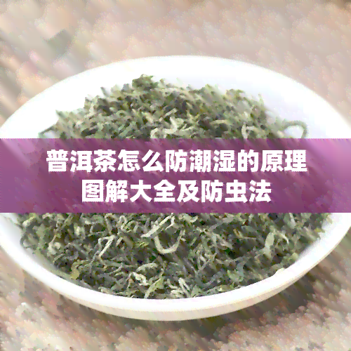 普洱茶怎么防潮湿的原理图解大全及防虫法