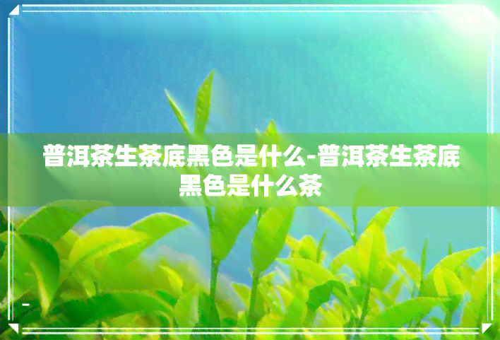 普洱茶生茶底黑色是什么-普洱茶生茶底黑色是什么茶