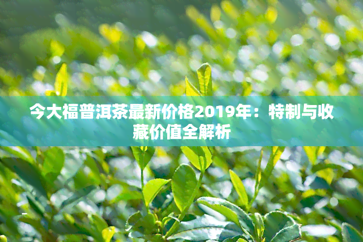 今大福普洱茶最新价格2019年：特制与收藏价值全解析