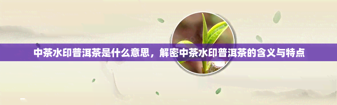 中茶水印普洱茶是什么意思，解密中茶水印普洱茶的含义与特点