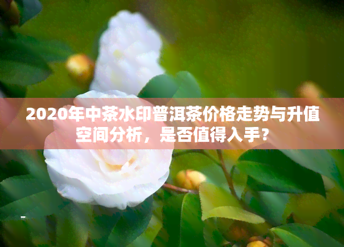 2020年中茶水印普洱茶价格走势与升值空间分析，是否值得入手？