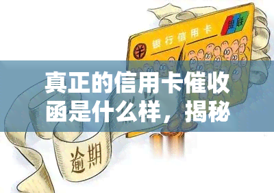 真正的信用卡函是什么样，揭秘真正的信用卡函：你需要了解的内容