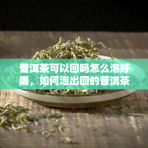 普洱茶可以回吗怎么泡好喝，如何泡出回的普洱茶？