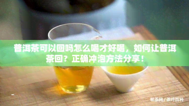 普洱茶可以回吗怎么喝才好喝，如何让普洱茶回？正确冲泡方法分享！