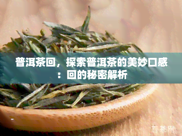 普洱茶回，探索普洱茶的美妙口感：回的秘密解析