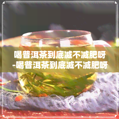 喝普洱茶到底减不减肥呀-喝普洱茶到底减不减肥呀女生