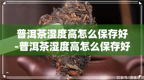 普洱茶湿度高怎么保存好-普洱茶湿度高怎么保存好呢