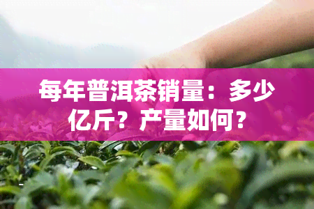 每年普洱茶销量：多少亿斤？产量如何？