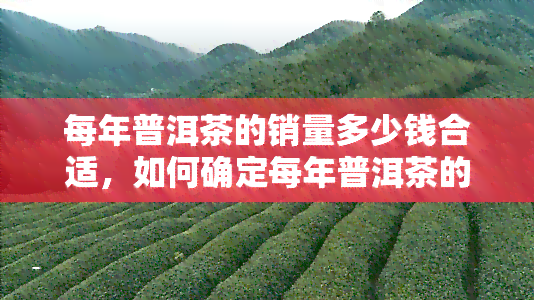 每年普洱茶的销量多少钱合适，如何确定每年普洱茶的合适销售量？