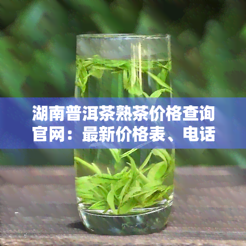 湖南普洱茶熟茶价格查询官网：最新价格表、电话及网址，深度解析普洱茶知识，独家揭秘湖南茶频道行情，附带普洱茶大讲堂内容。