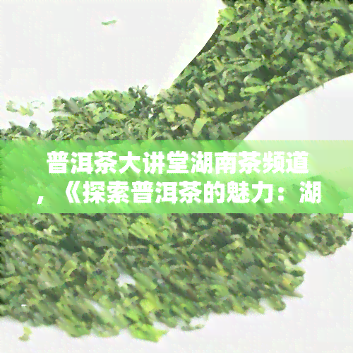 普洱茶大讲堂湖南茶频道，《探索普洱茶的魅力：湖南茶频道的大讲堂》