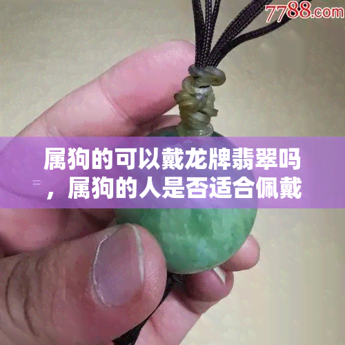 属狗的可以戴龙牌翡翠吗，属狗的人是否适合佩戴龙牌翡翠？