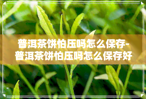 普洱茶饼怕压吗怎么保存-普洱茶饼怕压吗怎么保存好