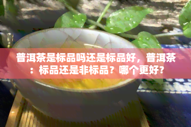 普洱茶是标品吗还是标品好，普洱茶：标品还是非标品？哪个更好？