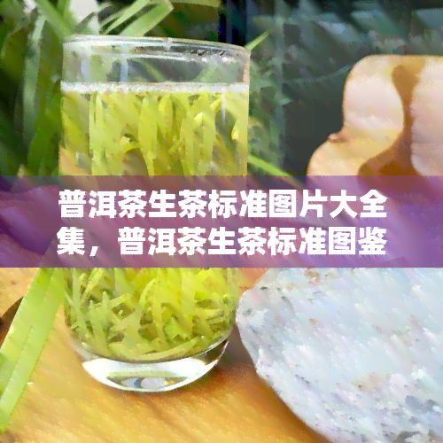 普洱茶生茶标准图片大全集，普洱茶生茶标准图鉴：全面解析普洱茶生茶的制作工艺与品质特征