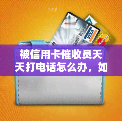 被信用卡员天天打电话怎么办，如何应对信用卡员的每日电话？