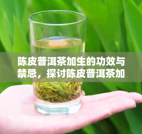 陈皮普洱茶加生的功效与禁忌，探讨陈皮普洱茶加生的神奇功效及其使用禁忌