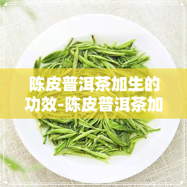 陈皮普洱茶加生的功效-陈皮普洱茶加生的功效与作用