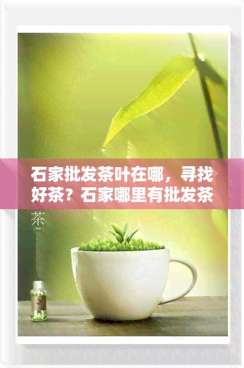 石家批发茶叶在哪，寻找好茶？石家哪里有批发茶叶的店铺？