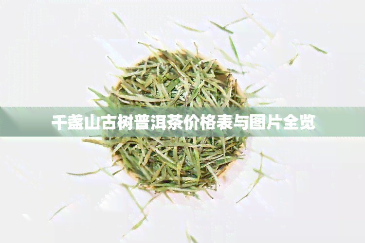 千盏山古树普洱茶价格表与图片全览