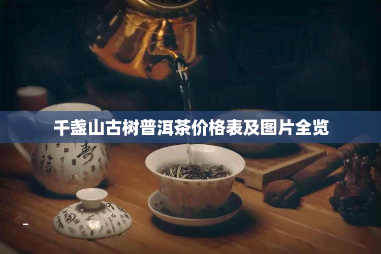 千盏山古树普洱茶价格表及图片全览