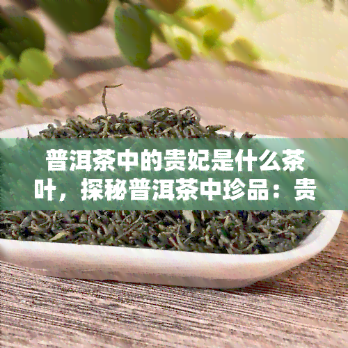 普洱茶中的贵妃是什么茶叶，探秘普洱茶中珍品：贵妃茶的独特魅力与价值